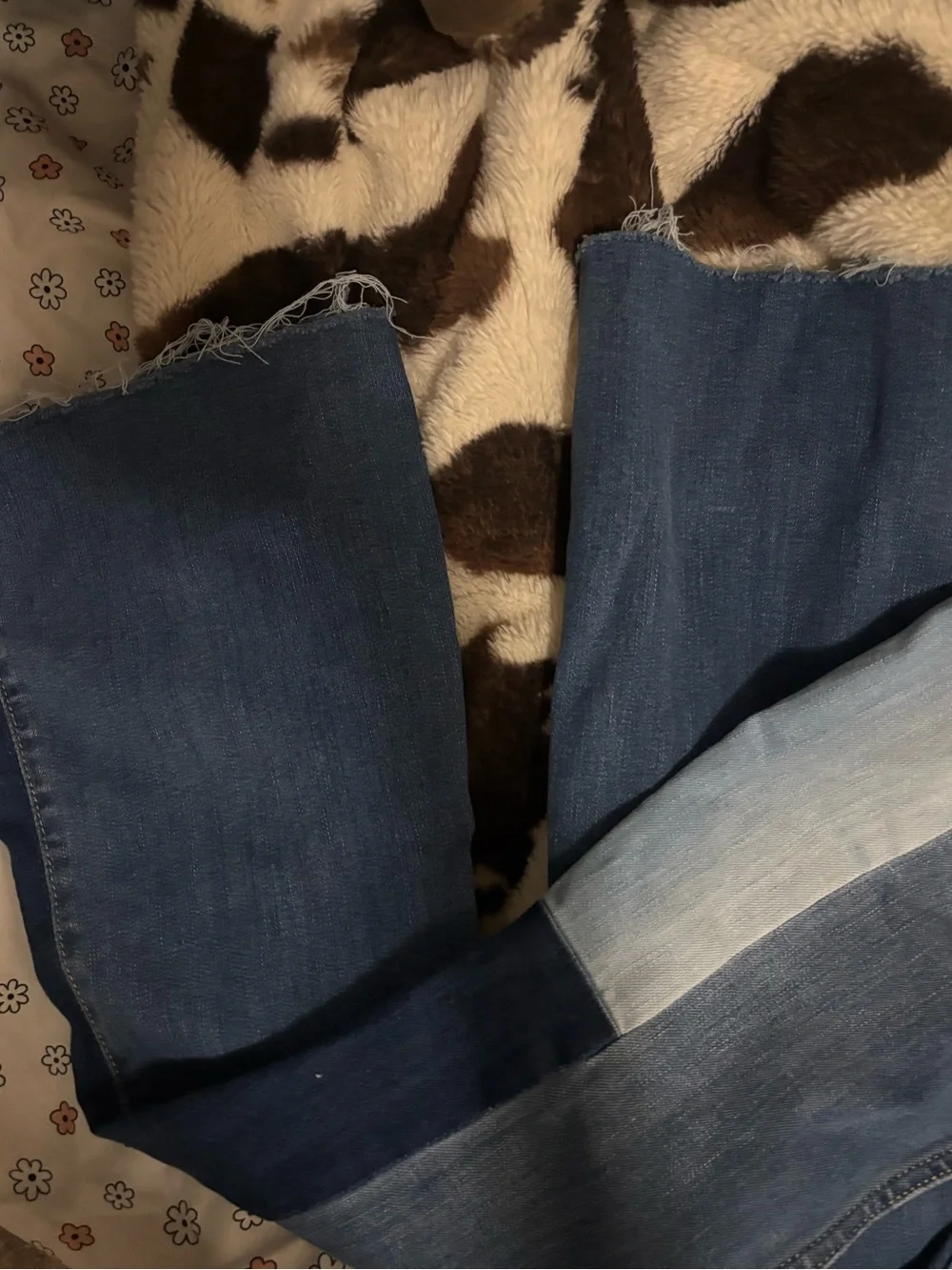 Hollister stylish two